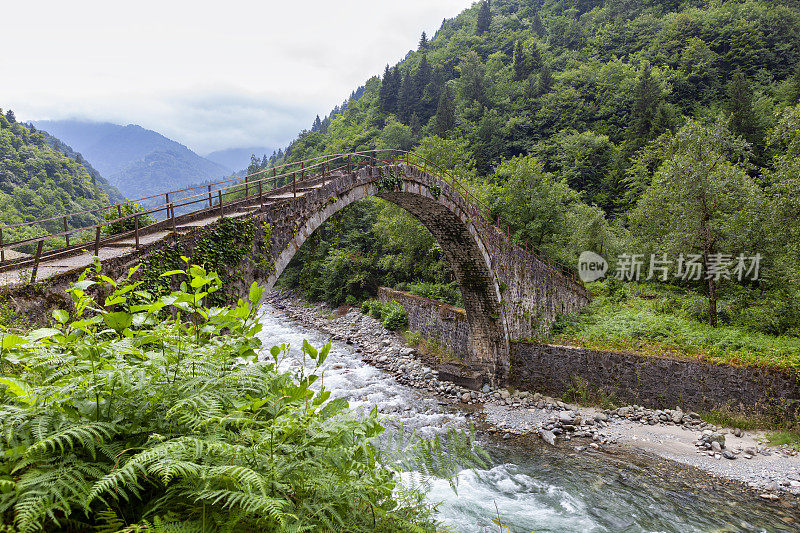 Şenyuva Bridge